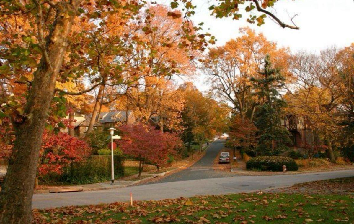 Şehirleri Neden Severiz?