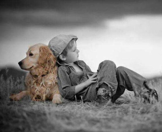 Köpek Seven İnsanlar