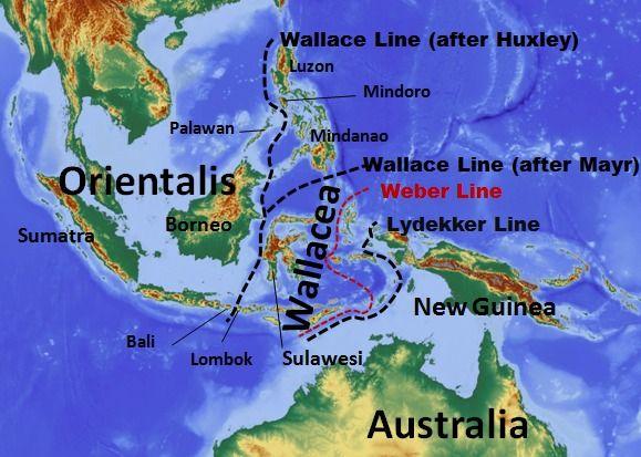 The Wallace Line: A Natural Boundary of Biodiversity