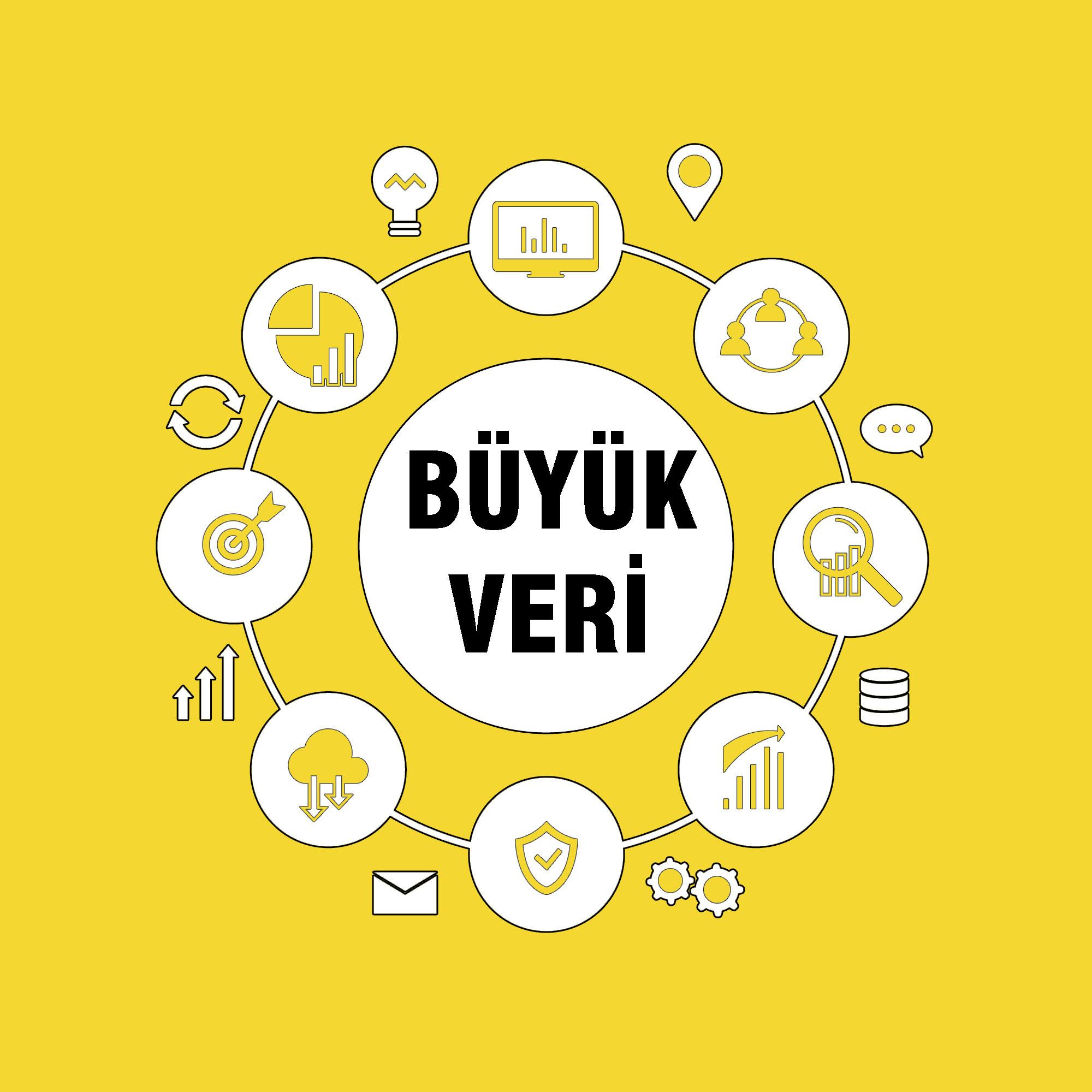 Büyük Verinin Enformasyon Ve Yönetim İlişkisi