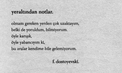 Merdümgiriz misiniz?