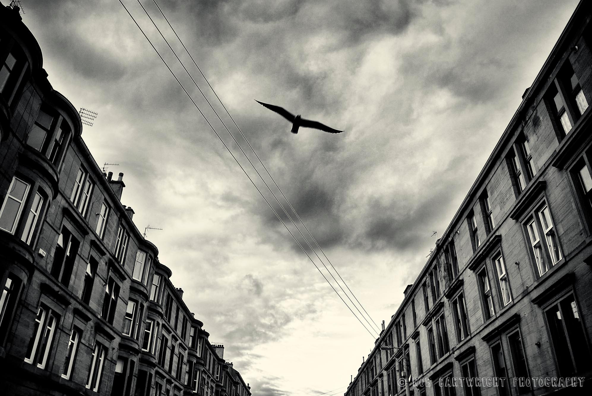 Yerel Yönetimlerin İklim Değişimi ile Mücadelede Önemi