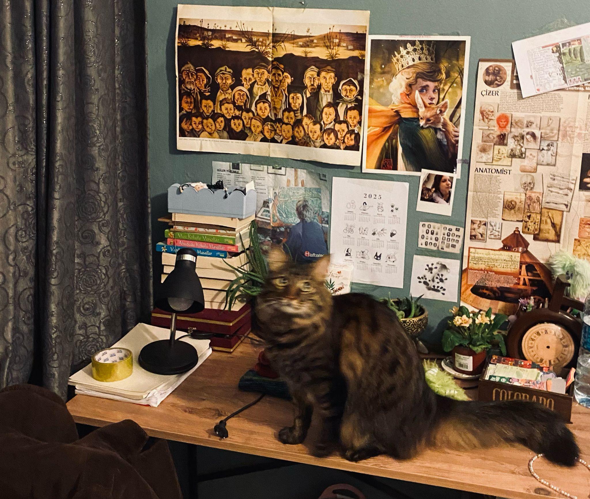 Sadece Dört Duvar Değil: Odanızın Ruhunu Şekillendirin!