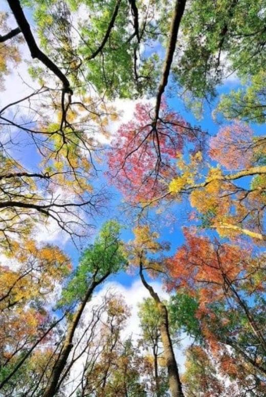 Zihnimizin Harita Yolu