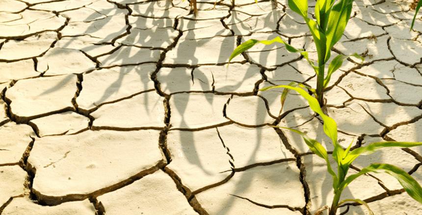 Kuruyan Göllerimiz: Sessiz Çığlık ve Geleceğimizin Aynası