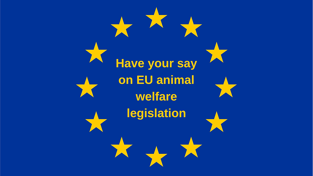 Sweden's Satisfactory Animal Welfare Law